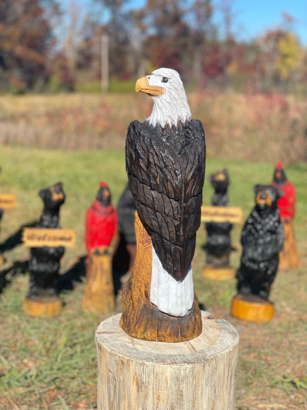 Eagle Head Turned