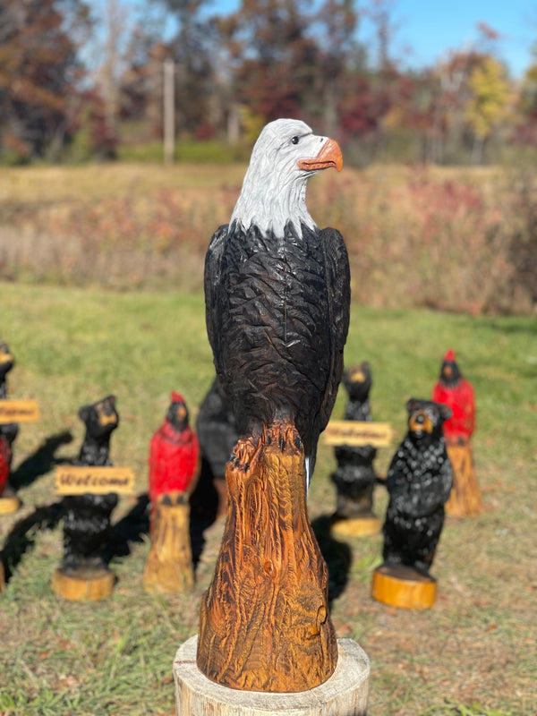 Large Eagle Head Turned