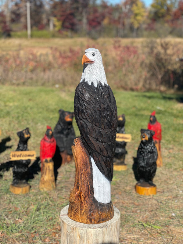 Large Eagle Head Turned