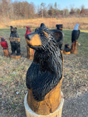 Large Cub In Stump